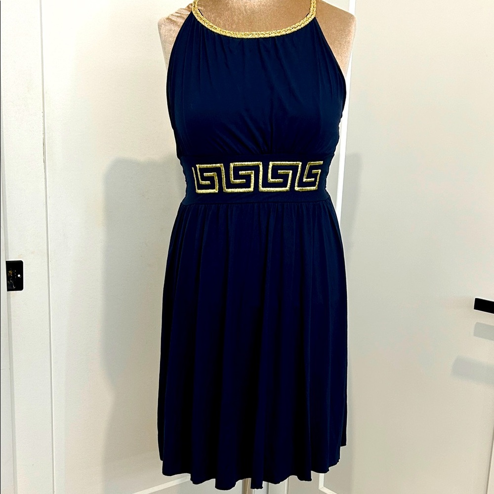Greek Goddess Navy Sleeveless Embroidered Dress |Size Medium
